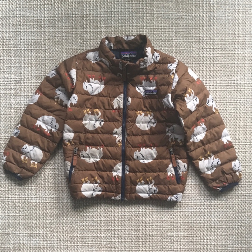 Patagonia Puffer Jacket (size 5T)